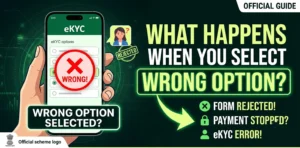 What Happens When You Select a Wrong Option in Ladki Bahin eKYC?